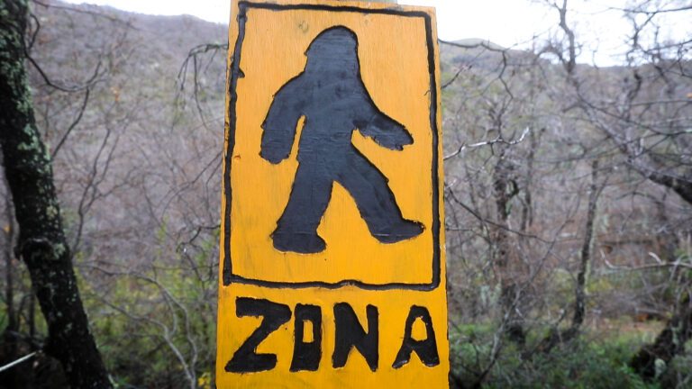 El Yeti Las Trancas